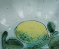 Arthur Percy, fruktskål, flintgods, ''Citron'', Gefle.