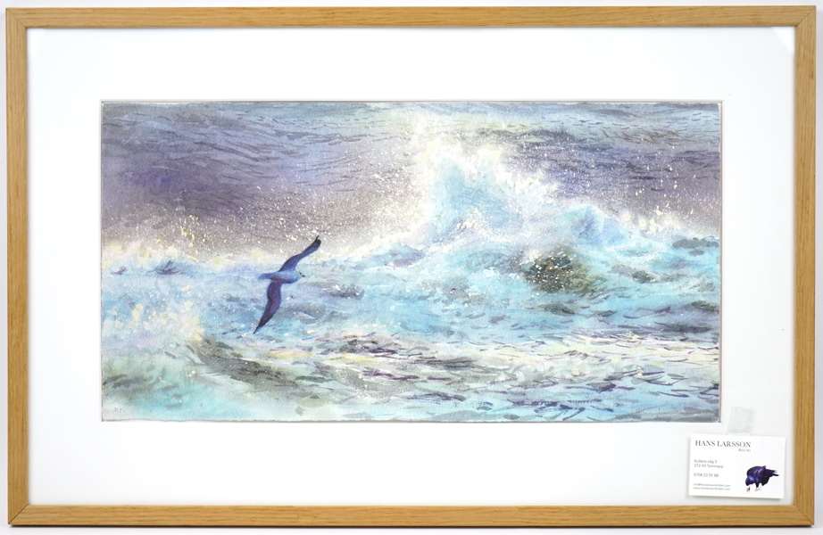 Hans Larsson, fågelmotiv, fine art print, provtryck, signerad.