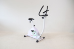 Motionscykel, Adrenalin.