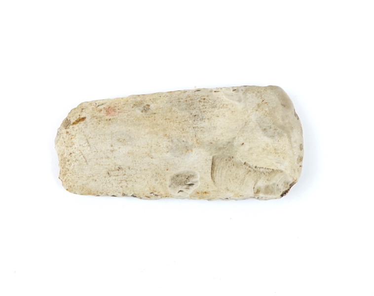 Stenyxa.