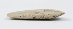Stenyxa.