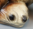 Figurin, keramik, Sankt bernardshund.
