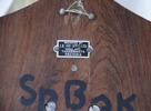Jakttrofé, taxidermi, springbock, Sydafrika.