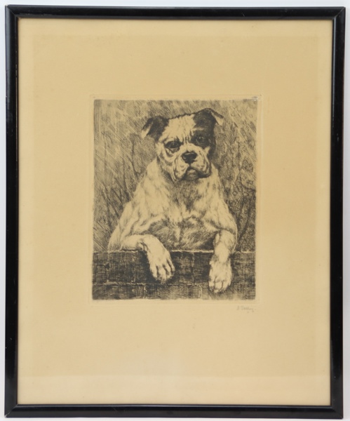 Axel Tallberg, "Boxer", etsning, signerad.