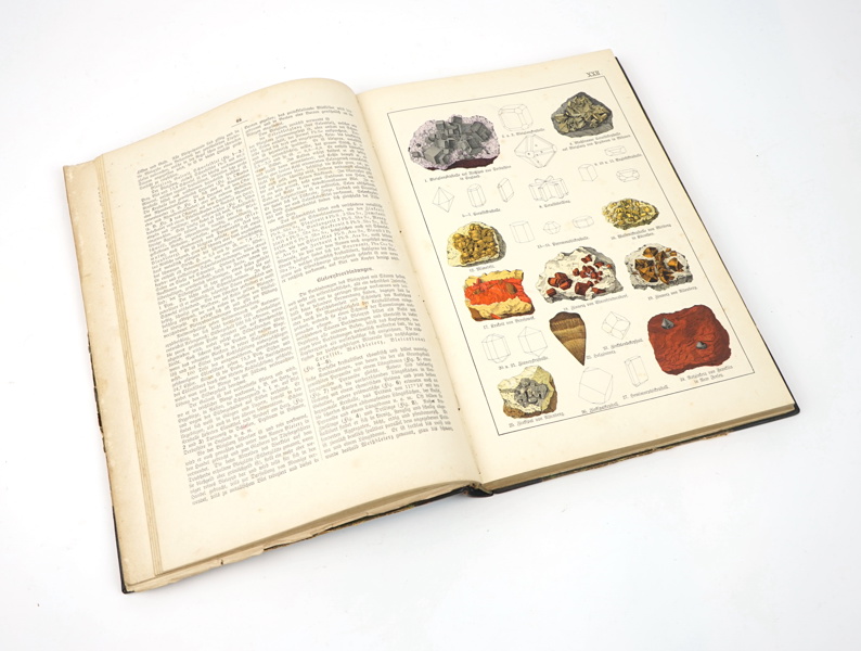 Bok, Naturgeschichte Tier-Pflantzen-und Mineralreichs, Omrking 1890.