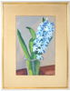 Helge Frender, stilleben, hyacinth, gouache, signerad.