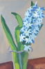 Helge Frender, stilleben, hyacinth, gouache, signerad.