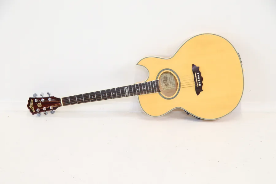 Gitarr, Washburn Millenium EA-2000, samt fodral.