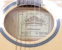Gitarr, Washburn Millenium EA-2000, samt fodral.