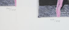 Bo Hultén, ''Mutatio Imagionis'', litografier, 12 st, signerade, 1978.