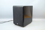 Aktiv Subwoofer SW-100XTZ.