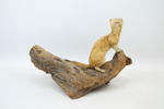 Taxidermi, hermelin på trädgren, monterad.