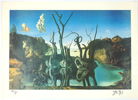 Salvador Dalí, efter, ''Swans reflecting elephants'', litografi 49/300.