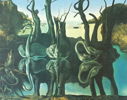 Salvador Dalí, efter, ''Swans reflecting elephants'', litografi 49/300.