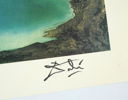 Salvador Dalí, efter, ''Swans reflecting elephants'', litografi 49/300.