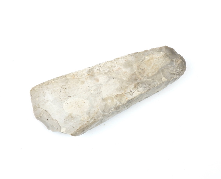 Flintyxa.