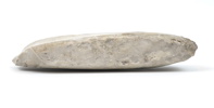 Flintyxa.
