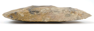 Flintyxa.