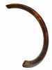 Mammutbete (subfossil stödtand), Ryssland.