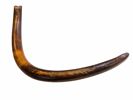 Mammutbete (subfossil stödtand), Ryssland.