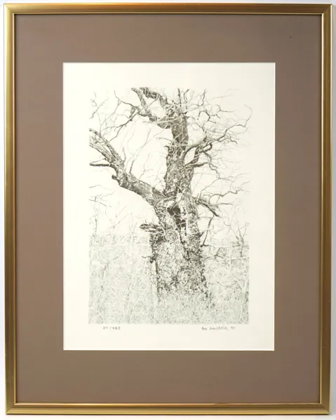 Bo Hultén, litografi 87/225, signerad, 1995.