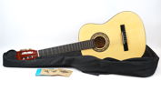 Akustisk gitarr, Akustica.