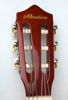 Akustisk gitarr, Akustica.