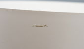 Band & Olufsen, subwoofer, "Type 6345", 1989.
