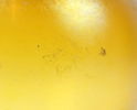 Bertil Vallien, vas, glas, 47435, signerad, Kosta.