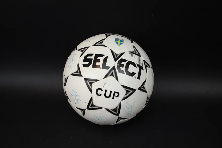 Fotboll, svenska VM-truppen 1994, signerad.