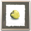 Hans Verduijn, ''Äpple'', etsning 3/15, signerad.