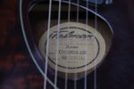 Gitarr, Talman Ibanez TCM50VBS, med fodral.